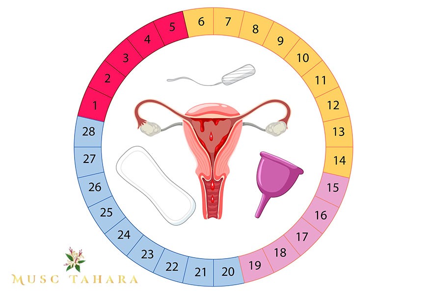 éviter une grossesse non désirée